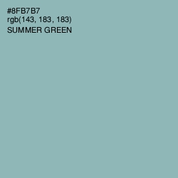 #8FB7B7 - Summer Green Color Image